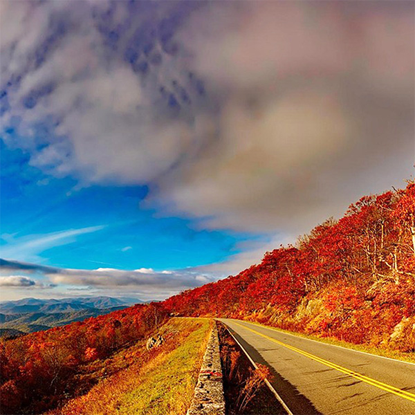 West virginia select 50 West virginia select 50